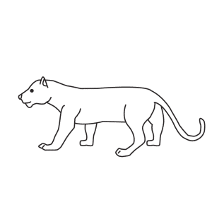 How To Draw A Panther - Step-by-Step Tutorial