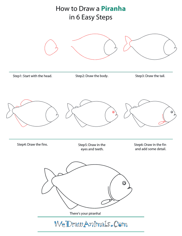 How To Draw A Piranha - Step-by-Step Tutorial
