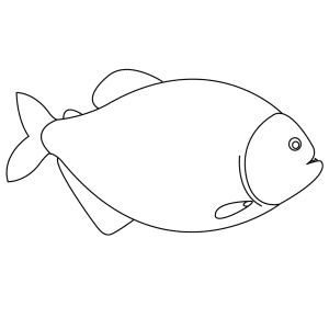 How To Draw A Piranha - Step-by-Step Tutorial