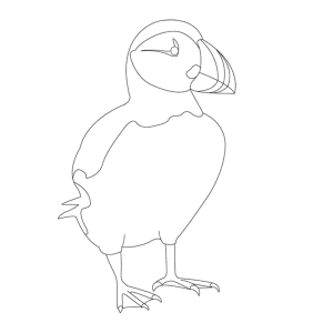 How To Draw A Puffin - Step-by-Step Tutorial