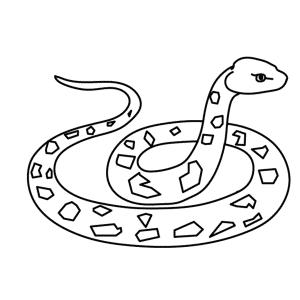 How To Draw A Rattlesnake - Step-by-Step Tutorial