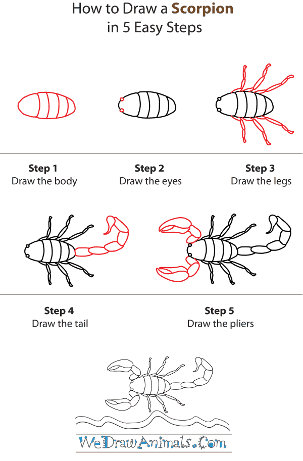 How To Draw A Scorpion - Step-by-Step Tutorial