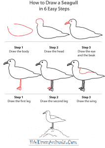 How to Draw a Seagull