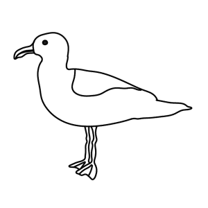 How To Draw A Seagull - Step-by-Step Tutorial