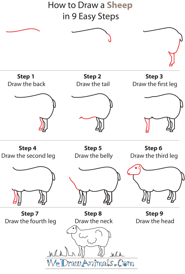 How To Draw A Sheep - Step-by-Step Tutorial