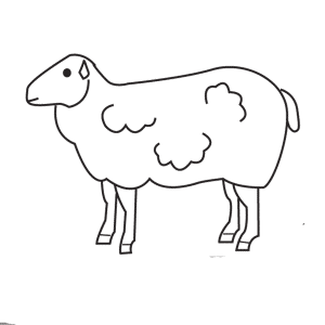 How To Draw A Sheep - Step-by-Step Tutorial