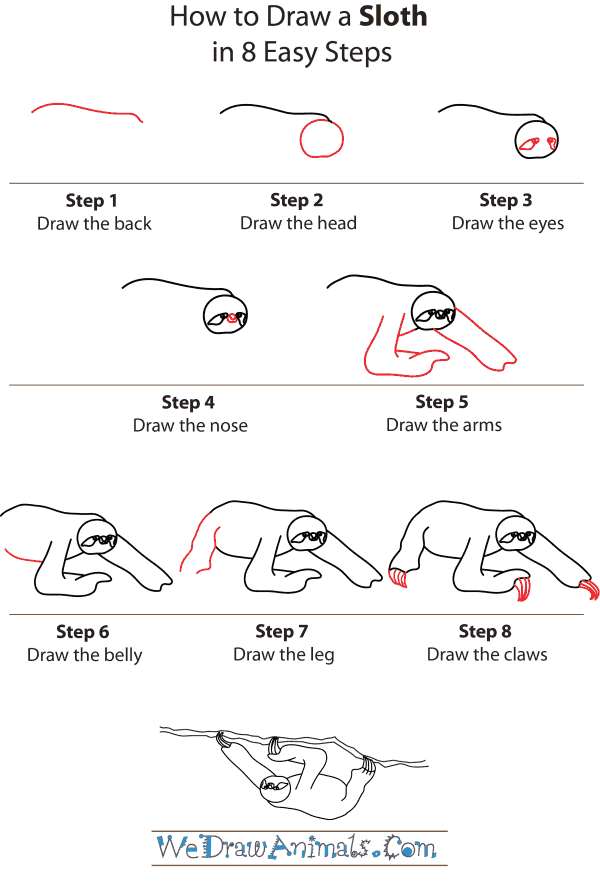 How To Draw A Sloth - Step-by-Step Tutorial