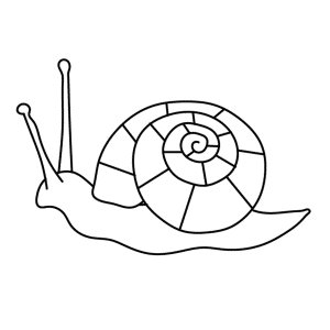 How To Draw A Snail - Step-by-Step Tutorial