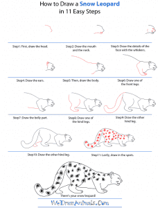 How to Draw a Snow Leopard