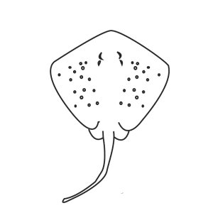 How To Draw A Stingray - Step-by-Step Tutorial