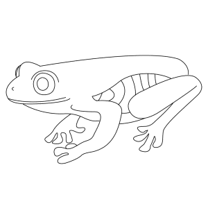 How To Draw A Tree Frog - Step-by-Step Tutorial