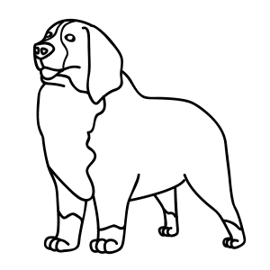 How To Draw A Bernese Mountain Dog - Step-by-Step Tutorial