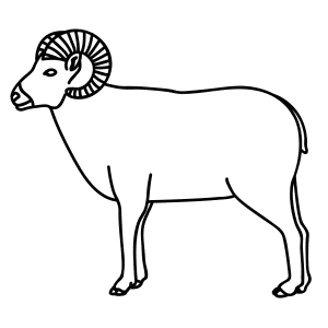 How To Draw A Bighorn Sheep - Step-by-Step Tutorial