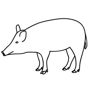 How To Draw A Boar - Step-by-Step Tutorial