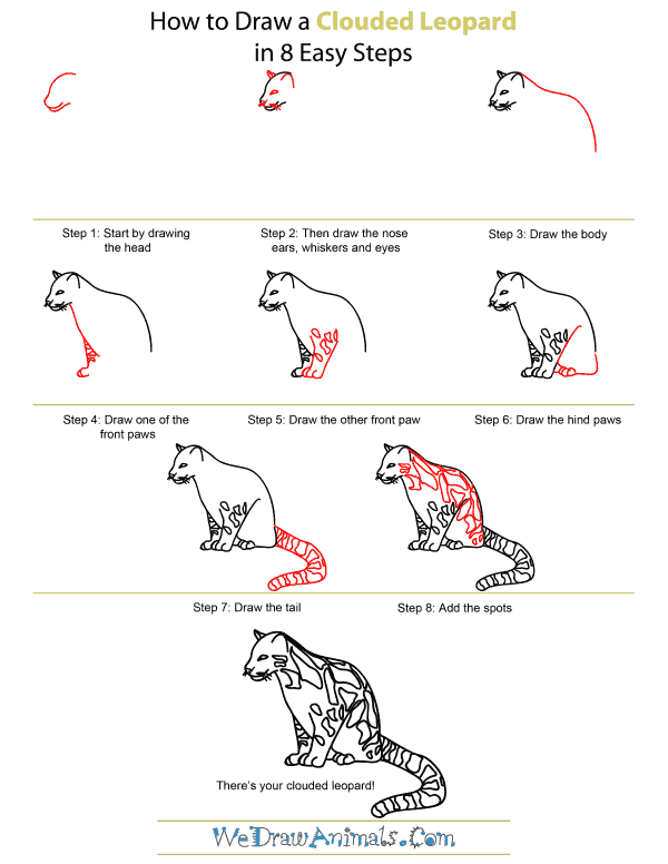 How To Draw A Clouded Leopard - Step-by-Step Tutorial