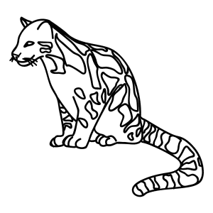 How To Draw A Clouded Leopard - Step-by-Step Tutorial