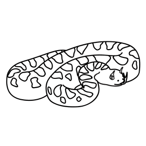 horned viper drawing