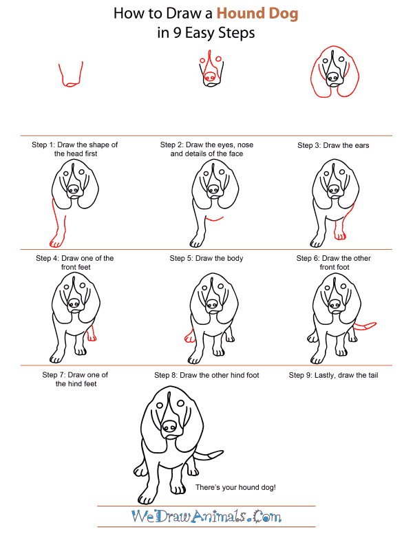 How To Draw A Hound Dog - Step-by-Step Tutorial