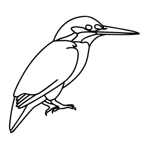 How To Draw A Kingfisher - Step-by-Step Tutorial