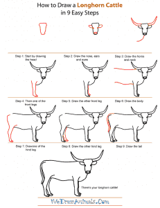 How to Draw a Longhorn Cattle