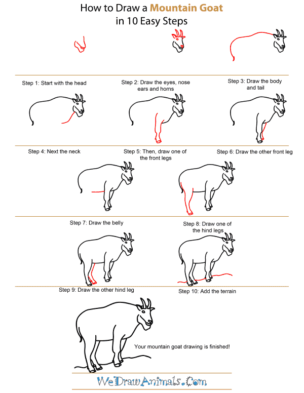 How To Draw A Mountain Goat - Step-by-Step Tutorial