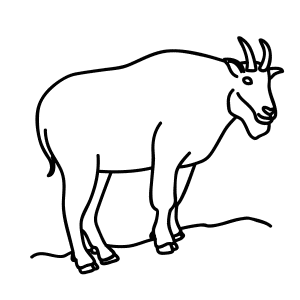 How To Draw A Mountain Goat - Step-by-Step Tutorial