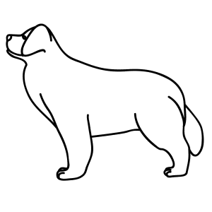 How To Draw A Newfoundland Dog - Step-by-Step Tutorial