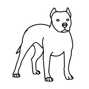 How To Draw A Pitbull Dog - Step-by-Step Tutorial