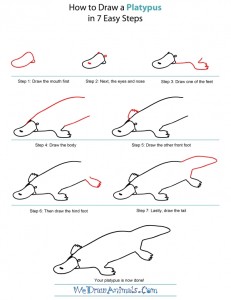 How to Draw a Platypus