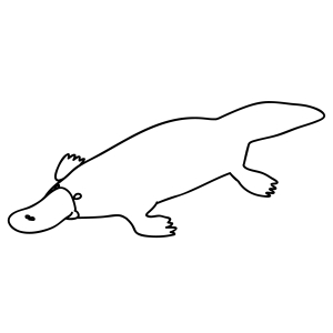 How To Draw A Platypus - Step-by-Step Tutorial