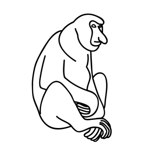 How To Draw A Proboscis Monkey - Step-by-Step Tutorial