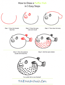 How to Draw a Puffer Fish