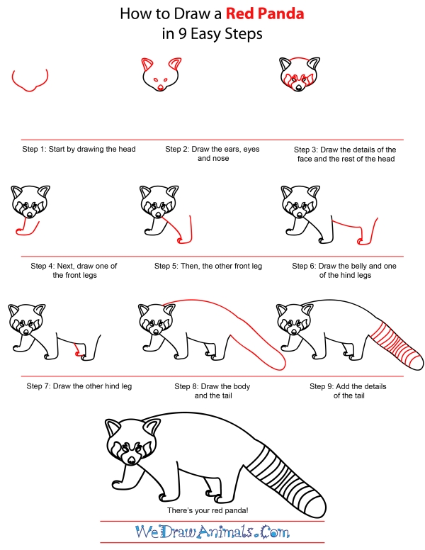 How To Draw A Red Panda - Step-by-Step Tutorial