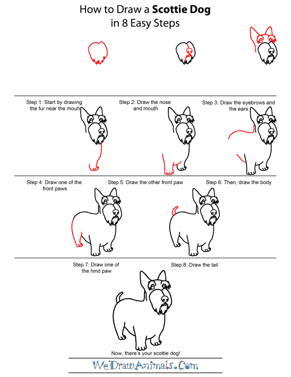 How To Draw A Scottie Dog - Step-by-Step Tutorial