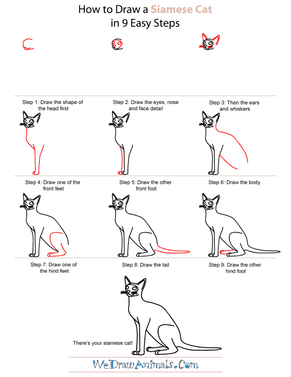 How To Draw A Siamese Cat - Step-by-Step Tutorial
