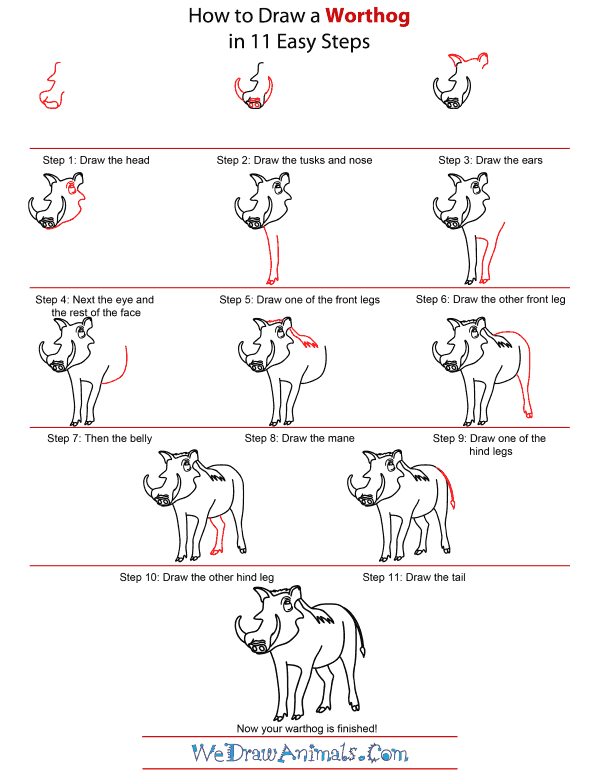 How To Draw A Warthog - Step-by-Step Tutorial