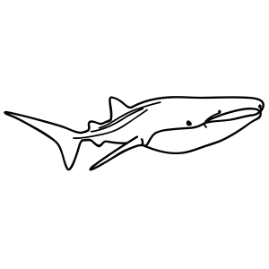 How To Draw A Whale Shark - Step-by-Step Tutorial