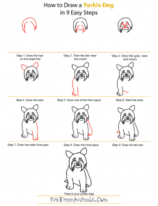 How to Draw a Yorkie Dog