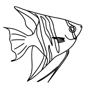 How To Draw An Angelfish - Step-by-Step Tutorial