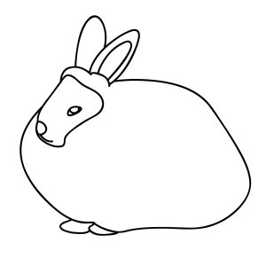 How To Draw An Angora Rabbit - Step-by-Step Tutorial