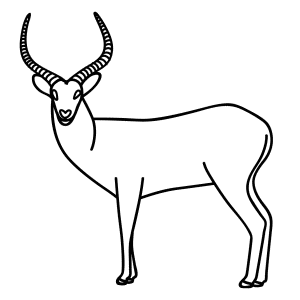 How To Draw An Antelope - Step-by-Step Tutorial