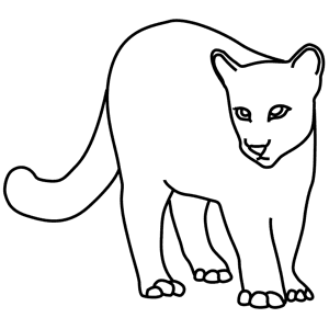 How To Draw A Cougar - Step-by-Step Tutorial