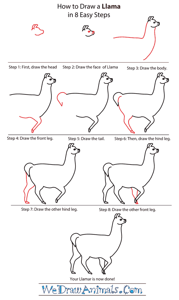 How To Draw A Llama - Step-by-Step Tutorial