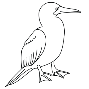 50++ Blue Footed Booby Online Coloring Page Download