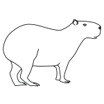 How to Draw a Capybara