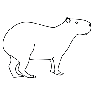 How To Draw A Capybara - Step-By-Step Tutorial