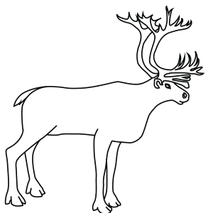 How To Draw A Caribou - Step-By-Step Tutorial