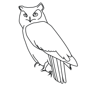 How To Draw A Great Horned Owl - Step-By-Step Tutorial