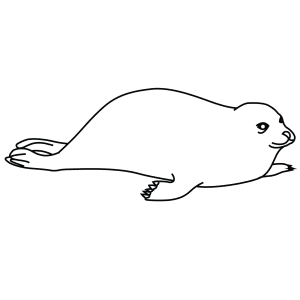 How To Draw A Harbor Seal - Step-By-Step Tutorial