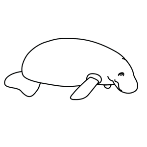 How To Draw A Manatee - Step-by-Step Tutorial